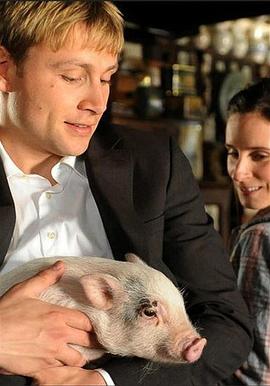 絕對(duì)保險(xiǎn)(全集)