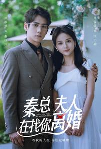 秦總，夫人在找你離婚(全集)