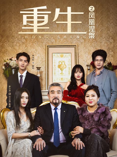 重生之鳳凰涅槃(全集)