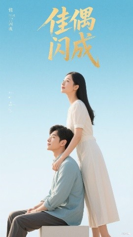 佳偶閃成 假婚真愛(ài)(全集)