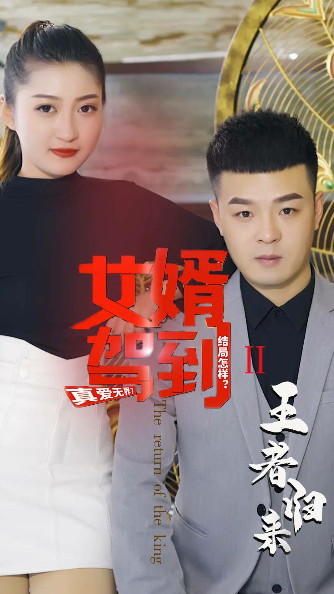 女婿駕到②王者歸來