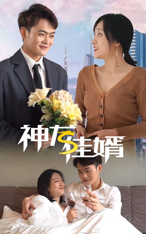 神龍佳婿