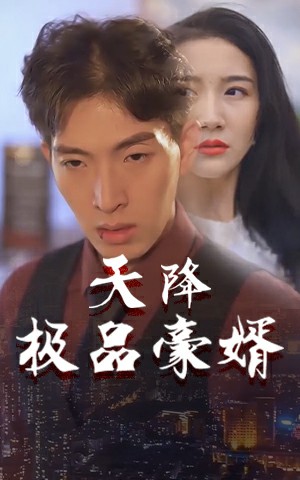 天降極品豪婿