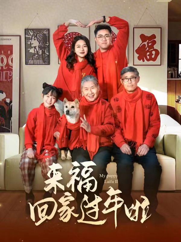 來?；丶疫^年啦