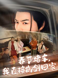 春節(jié)堵車我直接御劍飛行回家.