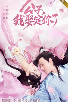 公子，我娶定你了(全集)