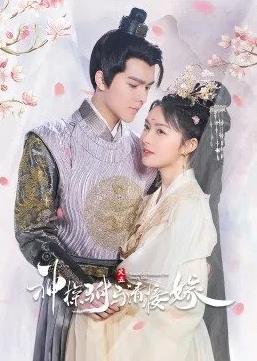 神探駙馬請(qǐng)接嫁(全集)