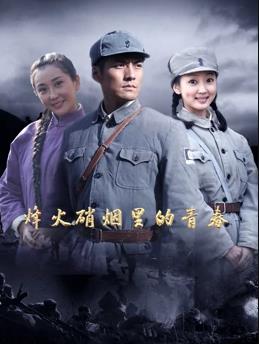 烽火硝煙里的青春(全集)