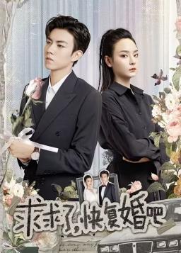 求求了，快復(fù)婚吧(全集)
