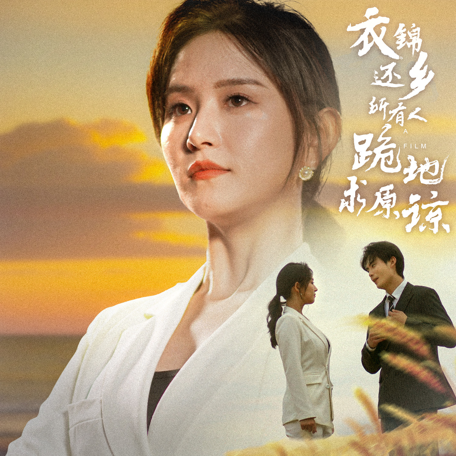 衣錦還鄉(xiāng)，所有人跪地求原諒(全集)