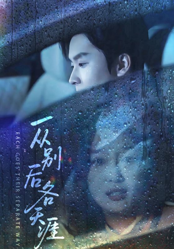 一從別后各天涯(全集)